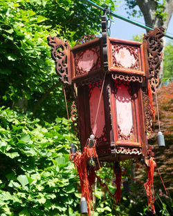 Low angle view of birdhouse on tree