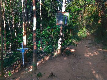 Road sign by trees