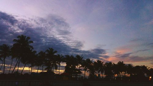Silhouette of palm trees against cloudy sky