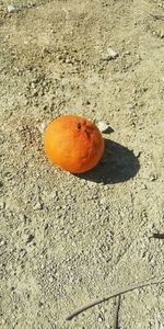 High angle view of orange slices on sand