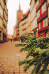 Holiday decorations in europian christmas market