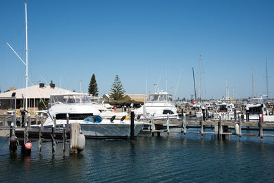 Boats moored at harbor against clear blue sky