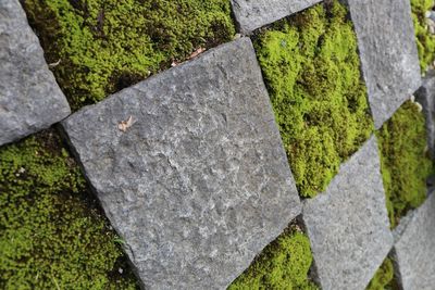 Close-up of stones on stone wall