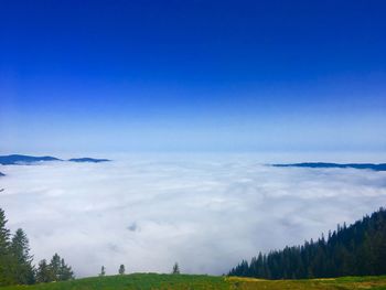 Scenic view of landscape against blue sky