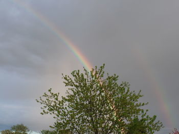 Low angle view of rainbow against sky