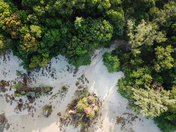 High angle view of waterfall amidst trees in forest