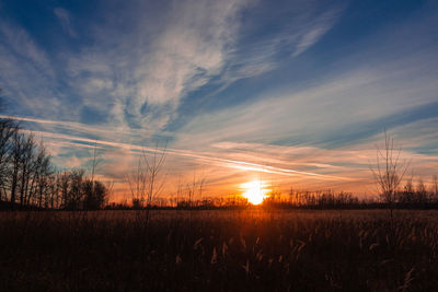 Scenic view of field against sky during sunset