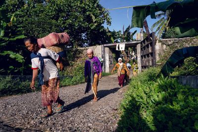 Rear view of people against plants