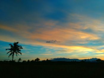 Silhouette palm trees on field against sky at sunset