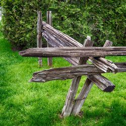 Close-up of wood against trees