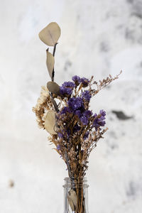 Close-up of flowers