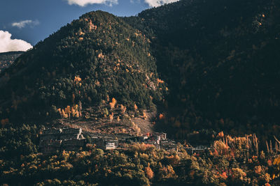 High angle view of trees and plants against sky