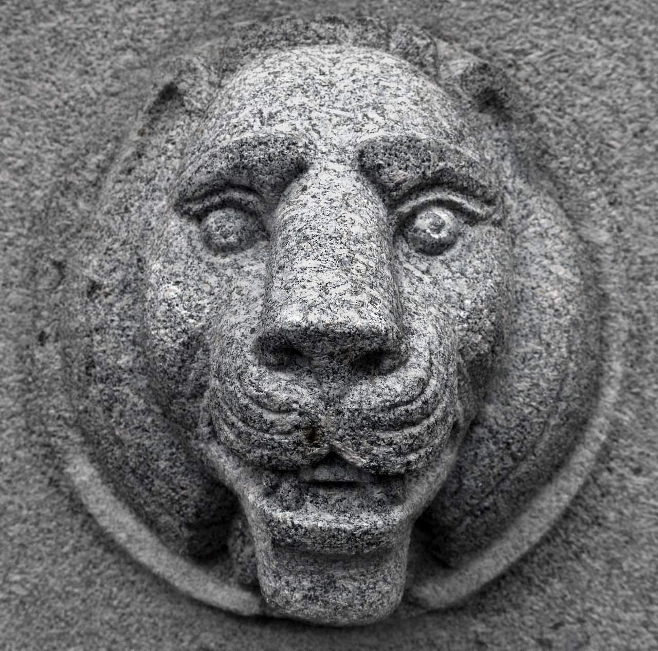 CLOSE-UP OF LION SCULPTURE