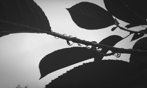 Low angle view of hanging against sky