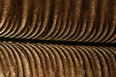 Full frame shot of spiral wood