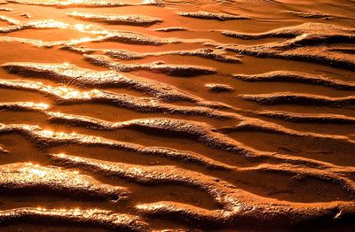 Full frame shot of sand dune