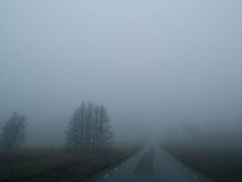 Road passing through forest