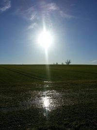 Sun shining through trees on field