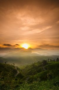 Scenic view of agricultural landscape against sky during sunset