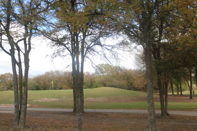 Trees on field against sky during autumn