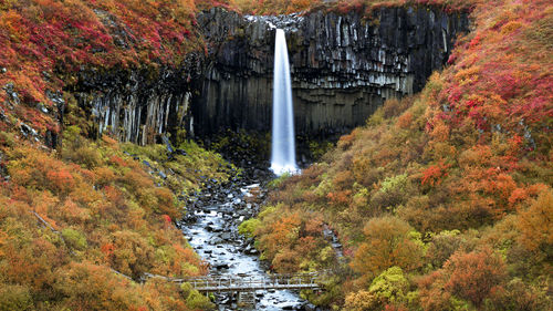 Stream flowing through rocks in forest during autumn