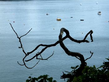 Scenic view of lake