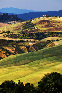 Scenic view of green landscape