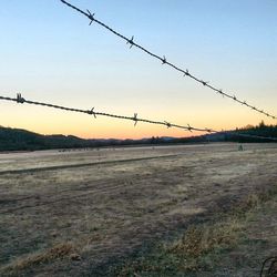 Barbed wire fence at sunset