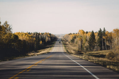 Empty road along trees and plants against sky