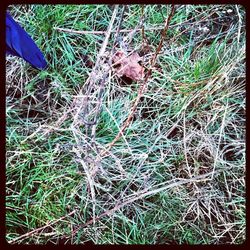 auto post production filter