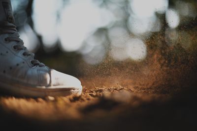 Low section of person standing on sand