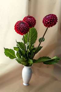 Close-up of christmas decorations on table