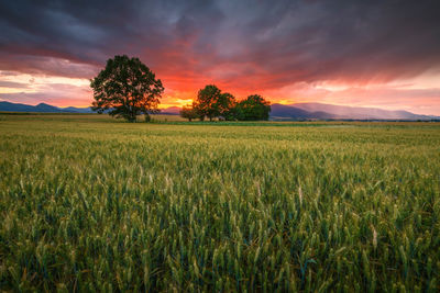 Evening storm over the mountains of turiec region, slovakia.