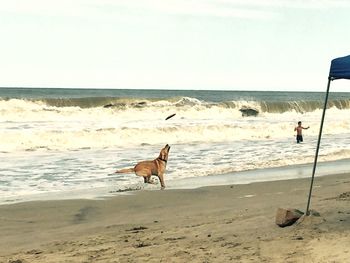 View of waves on beach