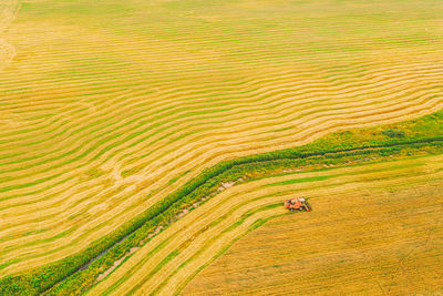 Full frame shot of agricultural field