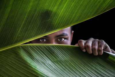 Portrait of man with green leaves