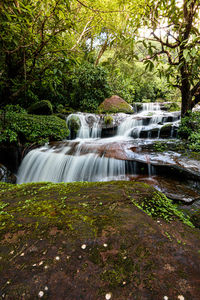 Waterfall in forest