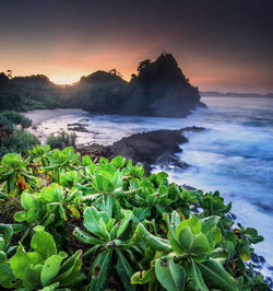 Scenic view of sea against sky during sunset