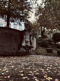 Statue in park during autumn