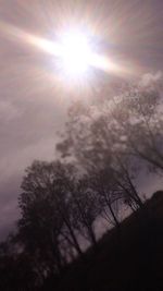 Low angle view of trees against sky