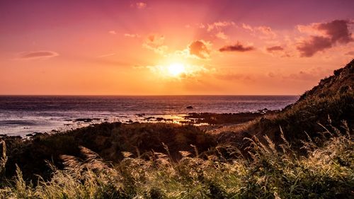 Scenic view of sea against sky during sunset