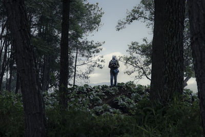 Man standing by trees in forest against sky