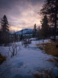 Scenic view of lake against sky during winter