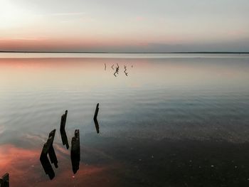 Pond after sunset