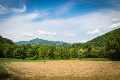 Scenic view of field against sky