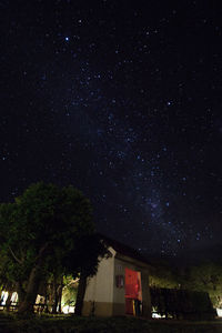 Low angle view of trees at night