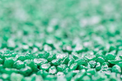 Macro shot of water drops on plant