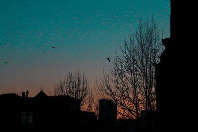 Silhouette trees against sky during sunset