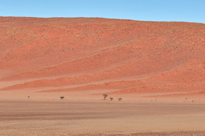 Big sand dune in namib-naukluft national park
