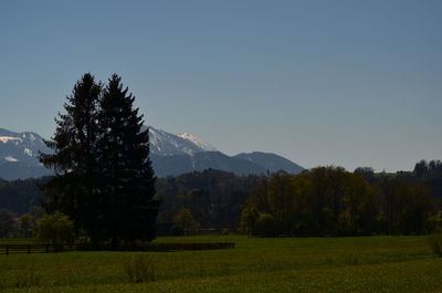 Scenic view of field and mountains against clear sky